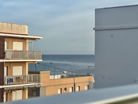 NA SPRZEDAŻ: biznes na Costa Blanca, zdjęcie: 15