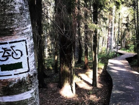 Rowerowe wycieczki po Suwalszczyźnie, zdjęcie: G3