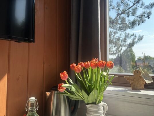 RAKI - Galeria, zdjęcie: pokoje nad jeziorem Serwy - SIRVIS - Suwalszczyzna