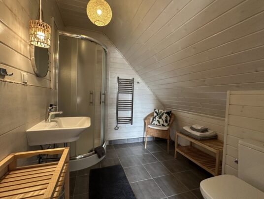 ŻABKORAKI - Galeria, zdjęcie: apartamenty nad jeziorem Serwy - SIRVIS - Suwalszczyzna