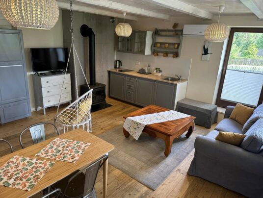 KORMORANY - Galeria, zdjęcie: apartamenty nad jeziorem Serwy - SIRVIS - Suwalszczyzna