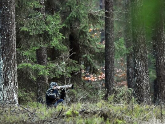 SIRVIS na niepogodę, zdjęcie: DZICZENIE.PL - SIRVIS - Suwalszczyzna