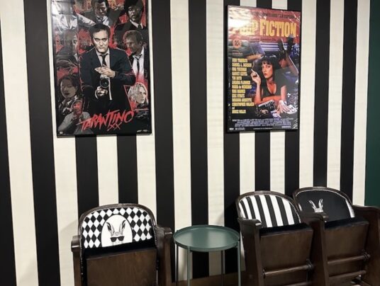 SIRVIS na niepogodę, zdjęcie: sala kinowa - SIRVIS - Suwalszczyzna