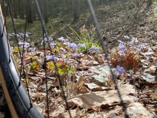 SIRVIS na rower, zdjęcie: gravelLOVER - SIRVIS - Suwalszczyzna
