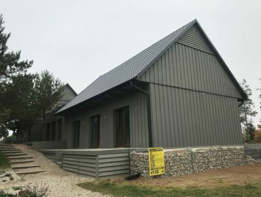 SIRVIS - nasza historia, zdjęcie: S N4