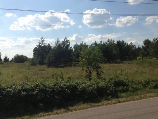 SIRVIS - nasza historia, zdjęcie: S1