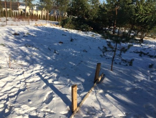 SIRVIS - nasza historia, zdjęcie: S2