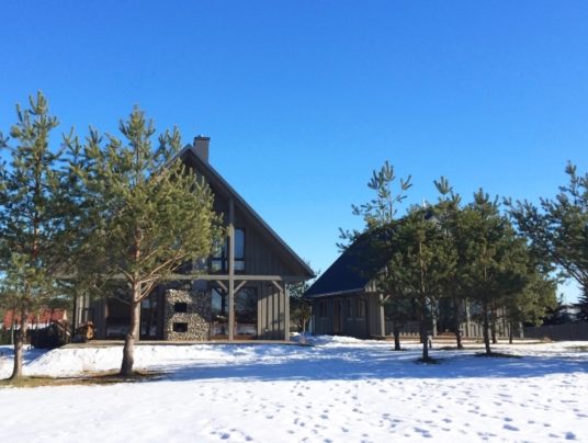 SIRVIS - nasza historia, zdjęcie: S21