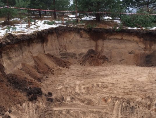 SIRVIS - nasza historia, zdjęcie: S3