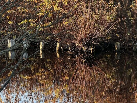 SIRVIS okolice, zdjęcie: Kanał Augustowski - SIRVIS - Suwalszczyzna