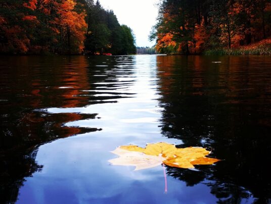 SIRVIS okolice, zdjęcie: Kanał Augustowski - SIRVIS - Suwalszczyzna