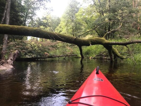 SIRVIS okolice, zdjęcie: kajaki - SIRVIS - Suwalszczyzna