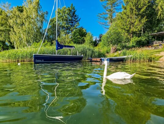 SIRVIS teren, zdjęcie: 17