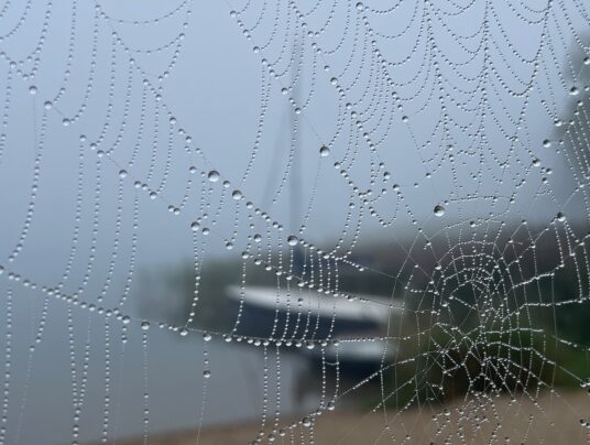 SIRVIS teren, zdjęcie: mgły nad Serwami - SIRVIS - jezioro Serwy - Suwalszczyzna