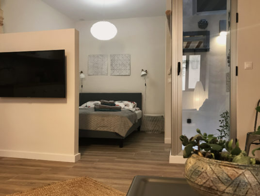 the best of... VillaVieja17 Studio-Apartments, zdjęcie: IMG 3283